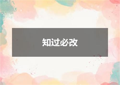 知过必改
