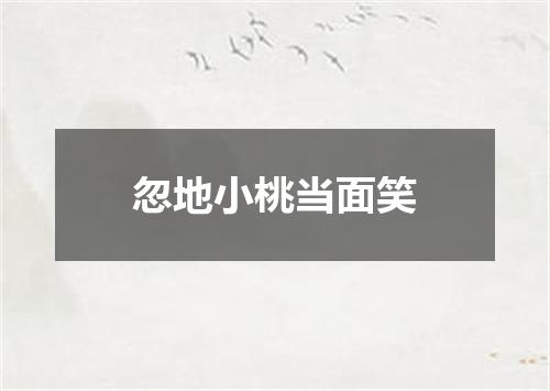 忽地小桃当面笑