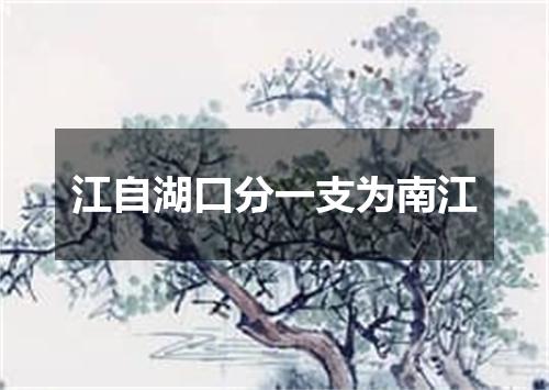 江自湖口分一支为南江