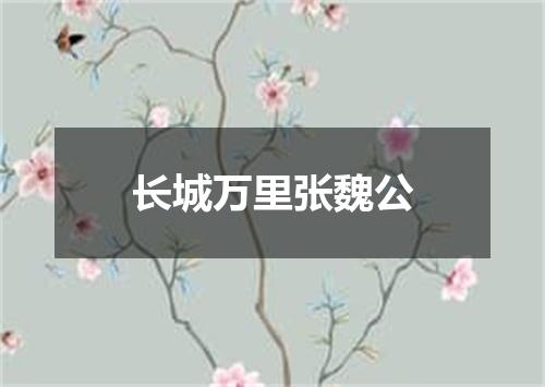 长城万里张魏公