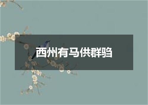 西州有马供群驺