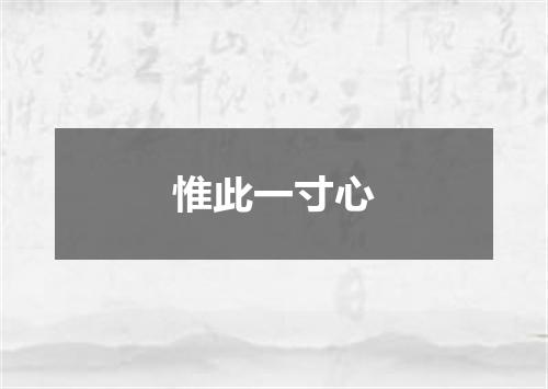 惟此一寸心
