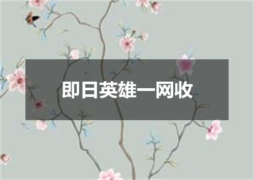 即日英雄一网收