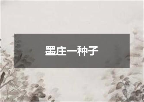 墨庄一种子