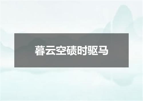 暮云空碛时驱马