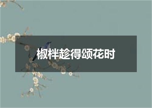 椒柈趁得颂花时