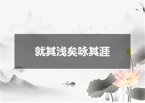 就其浅矣咏其涯