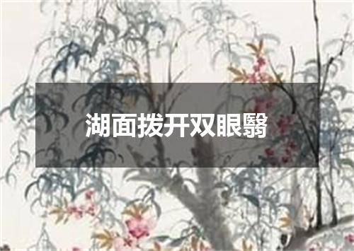 湖面拨开双眼翳