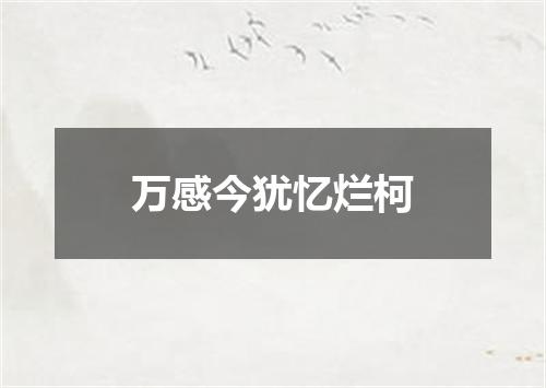 万感今犹忆烂柯