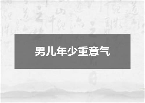 男儿年少重意气