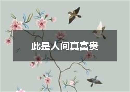 此是人间真富贵