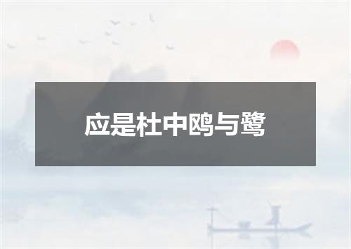 应是杜中鸥与鹭