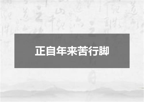 正自年来苦行脚