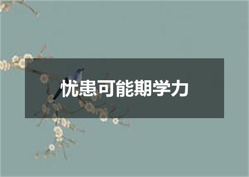 忧患可能期学力