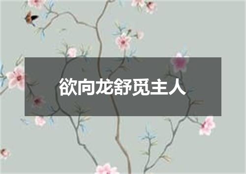 欲向龙舒觅主人