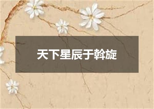 天下星辰于斡旋