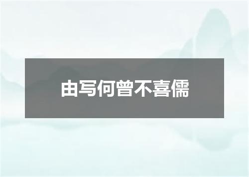 由写何曾不喜儒