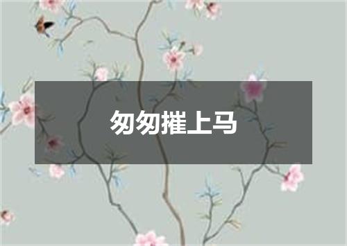 匆匆摧上马