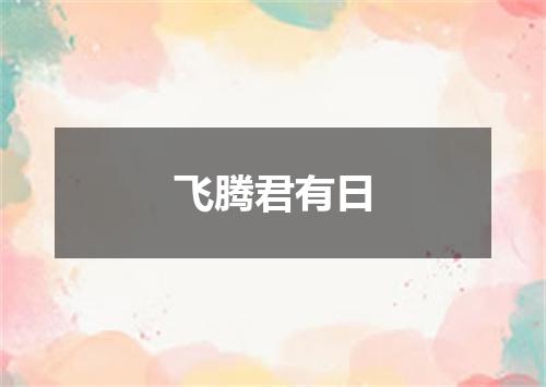 飞腾君有日