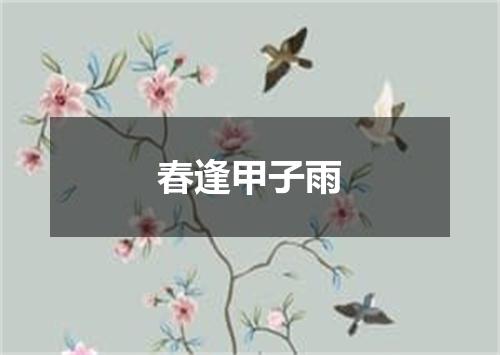春逢甲子雨