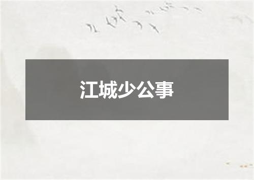 江城少公事