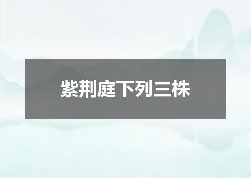 紫荆庭下列三株
