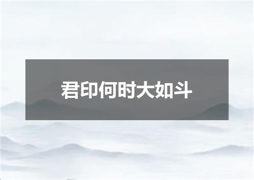 君印何时大如斗