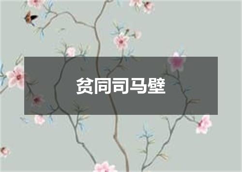 贫同司马壁