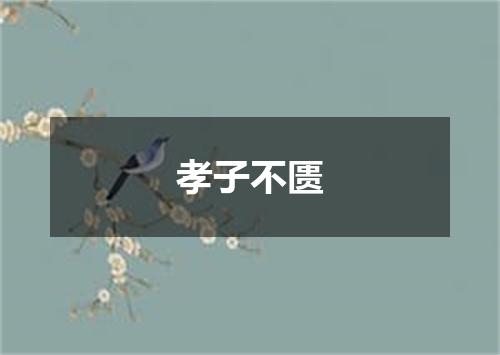 孝子不匮
