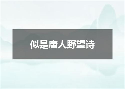似是唐人野望诗