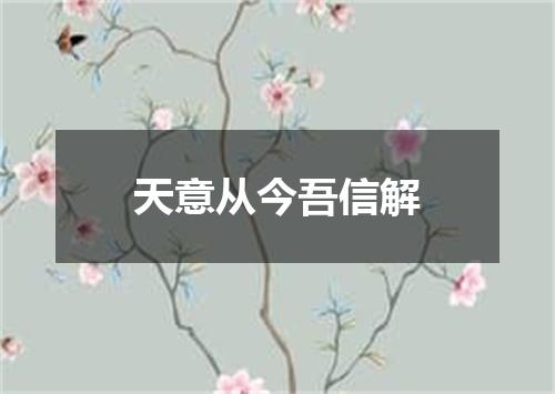 天意从今吾信解