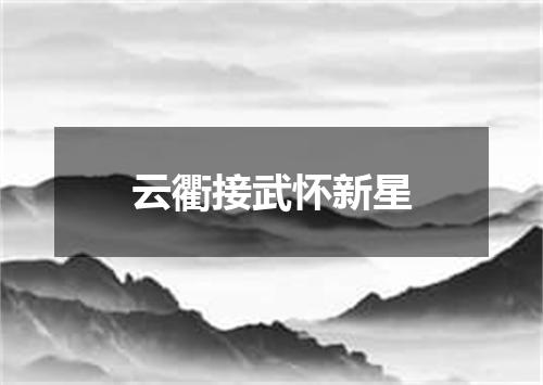 云衢接武怀新星