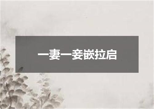 一妻一妾嵌拉启