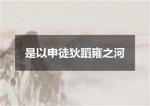 是以申徒狄蹈雍之河