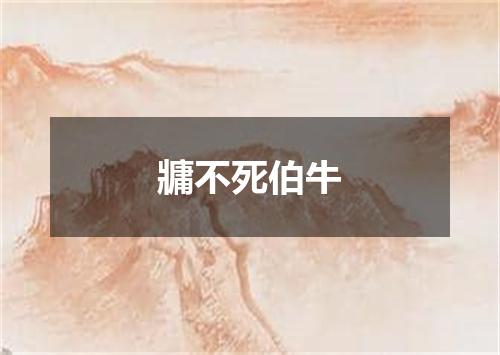 牅不死伯牛