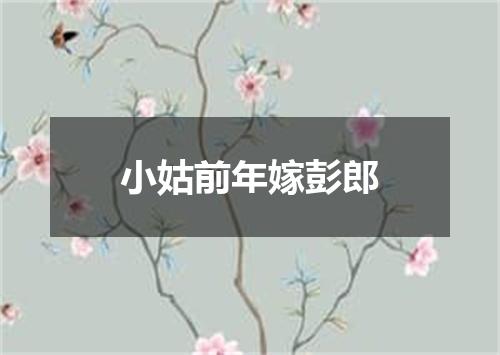 小姑前年嫁彭郎