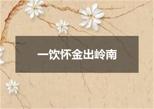 一饮怀金出岭南