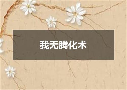 我无腾化术