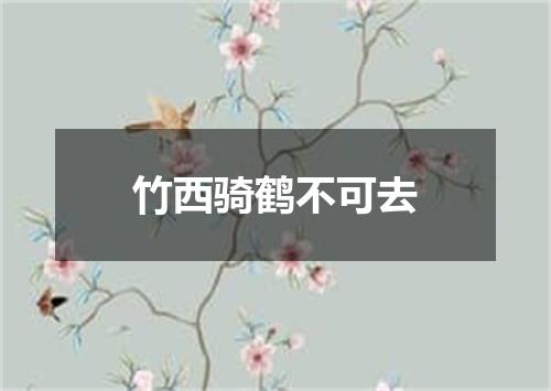 竹西骑鹤不可去