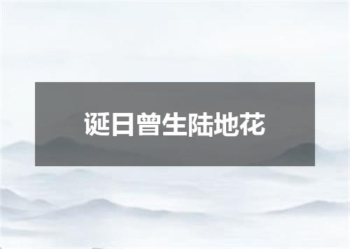 诞日曾生陆地花