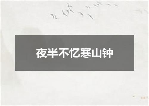 夜半不忆寒山钟