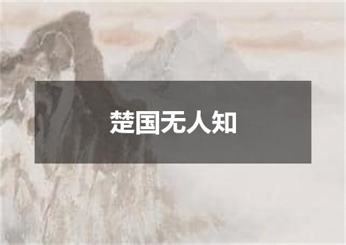 楚国无人知