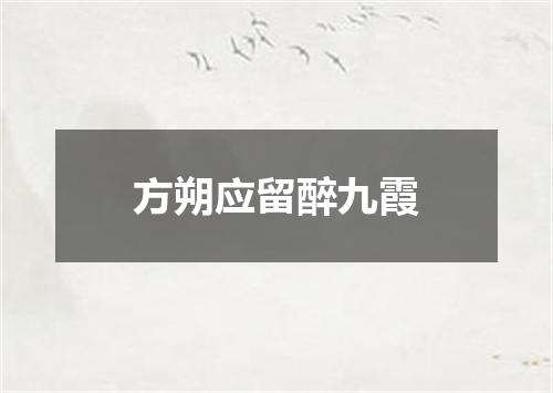 方朔应留醉九霞