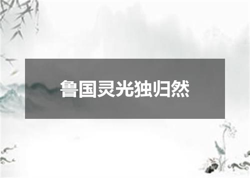 鲁国灵光独归然