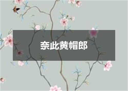 奈此黄帽郎