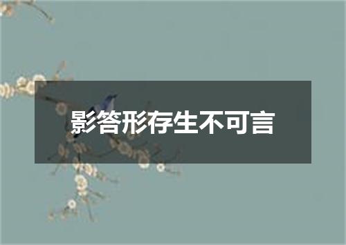影答形存生不可言