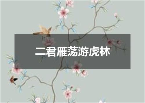 二君雁荡游虎林