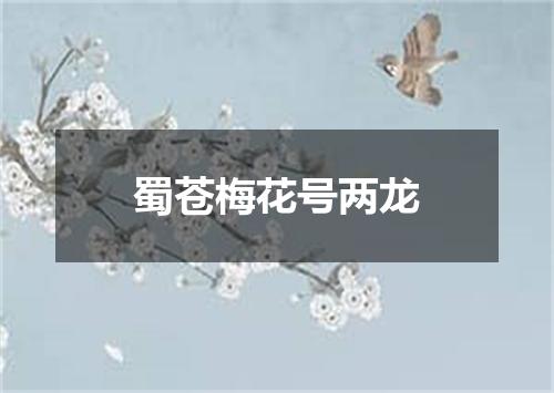 蜀苍梅花号两龙