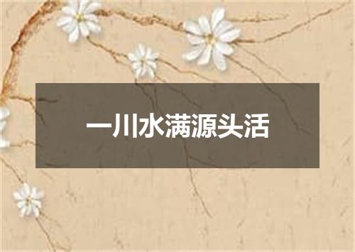 一川水满源头活