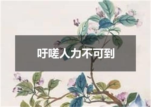 吁嗟人力不可到